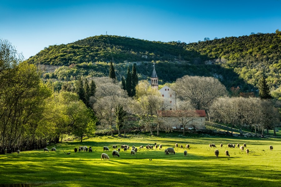 Pročitajte više o članku <strong>Provedite travanj na Krki – promotivne cijene ulaznica za sve posjetitelje dalmatinske oaze zelenila</strong>